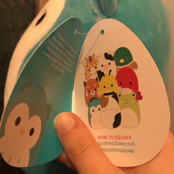 Winston the owl squishmallow - Picture 4 of 5